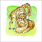 giraffen-kaartje